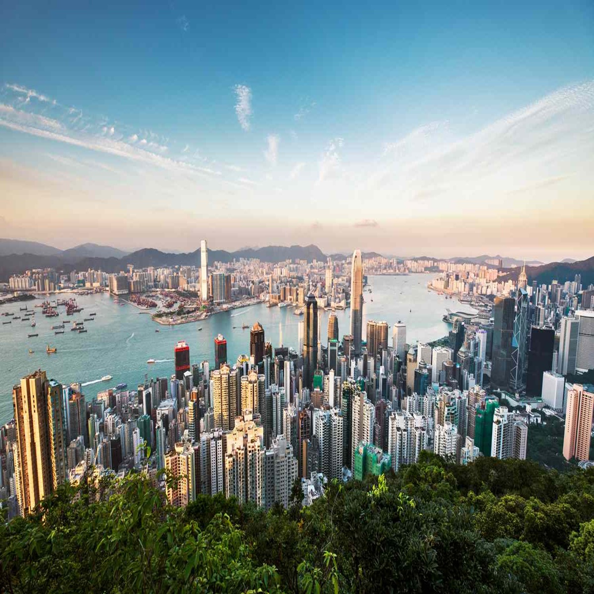 Hong Kong Company Formation