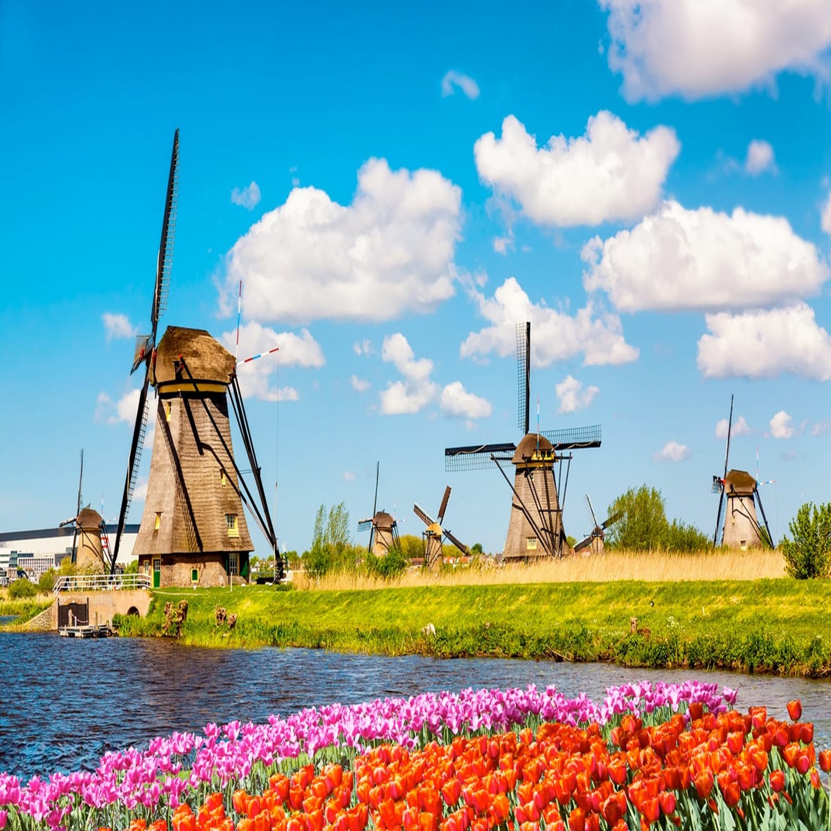 Netherlands Company Formation